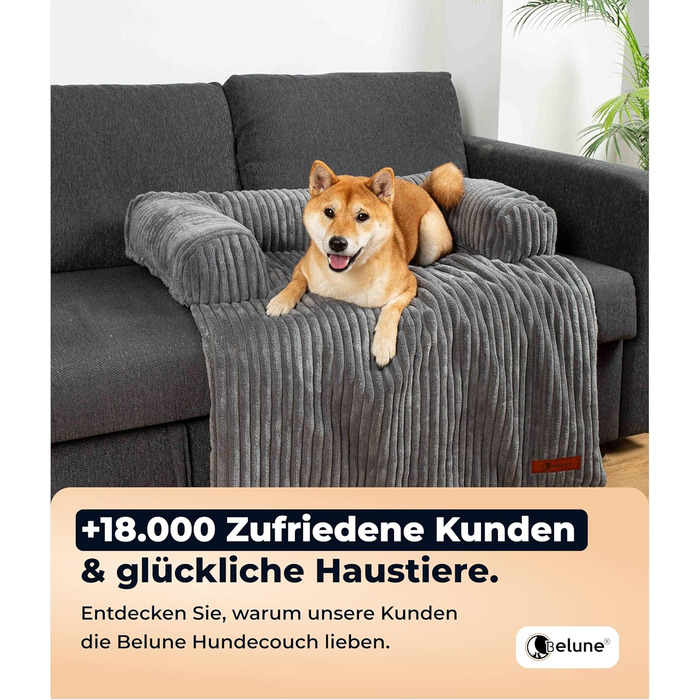 Лежак для собак Belune Deluxe, темно-сірий, 80x75 см, плюшевий, праний, для малих і середніх порід, захист дивану