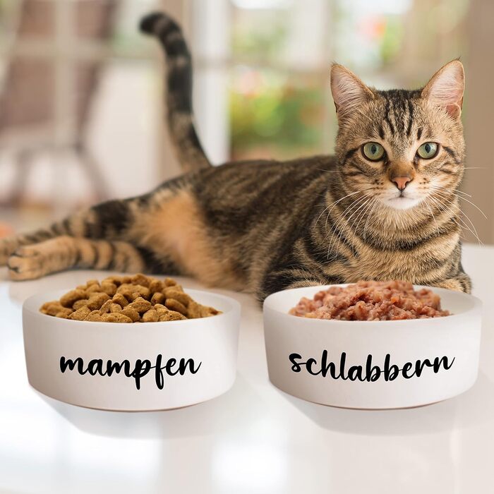 Керамічна миска для собак і котів з подвійним дном 'Mampfen + Schlabbern' | Набір мисок з/без підставки | Миска для корму, води для великих, середніх, маленьких собак і котів (2x 500 мл)