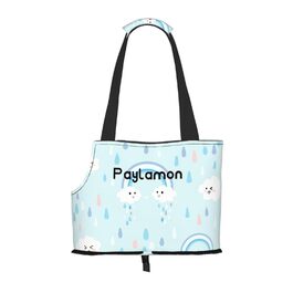 Сумка-переноска для котів та собак маленьких порід Paylamon, складна, для подорожей, у літак/автобус (хмари)