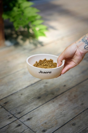 Корм Josera Senior Balance для літніх собак, підтримка серця, 12,5 кг