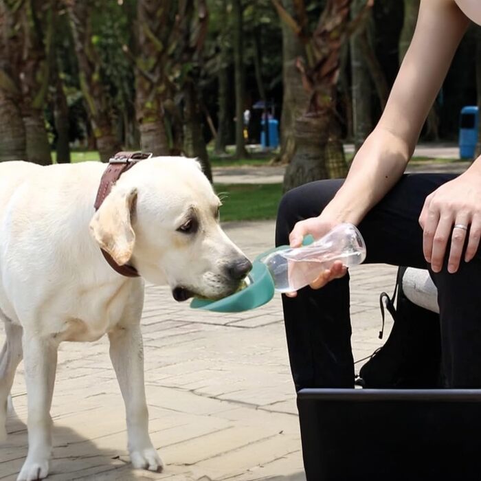 Водяний диспенсер Record з пляшкою - практичний та функціональний - силікон, 400 мл, 8 x 23 см, колір морської хвилі - для прогулянок та подорожей