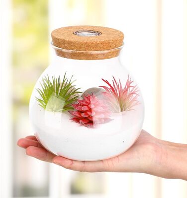 Скляна ваза-акваріум Balacoo для міні-ландшафту, тераріуму, рибок, з підсвічуванням, 14x13x13 см, біла