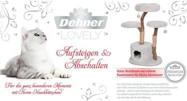 Dehner Premium Котячий кігтеточка Lovely, сучасний котячий комплекс з дерева, плюшу та сизалю, з будиночком та лежанкою, для великих і малих котів, стабільний, світло-сірий, 110x60x45 см