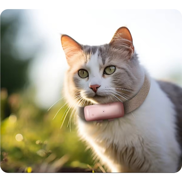 GPS-трекер 4G для тварин: локалізатор для собак та котів без абонплати