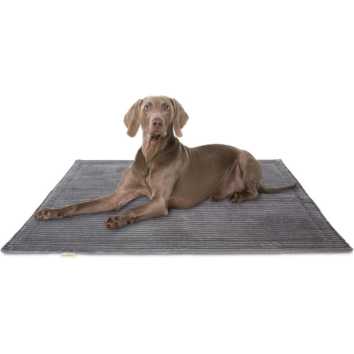 Лежанка для собак Knuffelwuff Timor, 100x70 см, сіра - м'яка та зручна, з корду, придатна для прання, для великих, середніх та малих собак