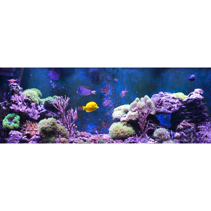 Світлодіоди AQUALED 27 Вт