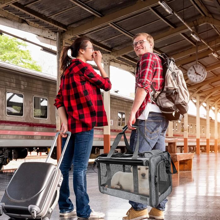 Транспортна переноска для котів та собак PETCUTE, сіра, для подорожей, кемпінгу, з регульованим плечовим ременем, розкладний дизайн