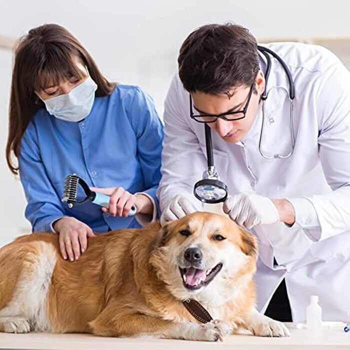 Бурштук для собак та котів EdirFtra, щітка для грумінгу, видалення підшерстка, 17 * 9 см