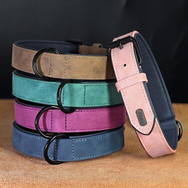 Шкільний нашийник для собак Didog: м'який, з підкладкою, зелений, L (33-43 см, 10-20 кг)