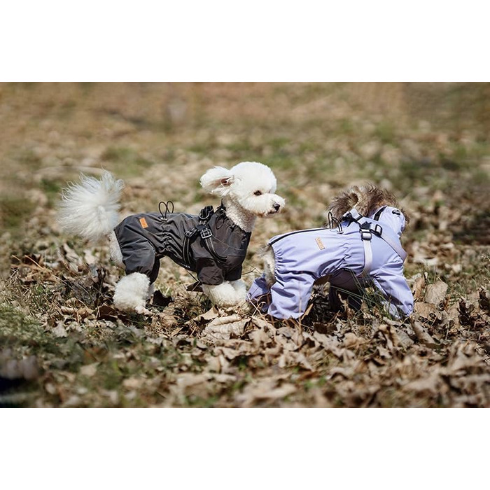 Водонепроникний дощовик для собак, розмір M, сірий, регульований, з 4 ніжками, для малих та середніх порід