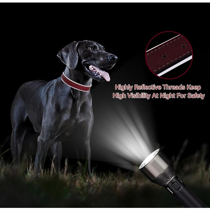 Нашийник для собак з червоної шкіри - якісний, м'який, з відбиваючими елементами та золотистою блискавкою для собак малих, середніх та великих порід