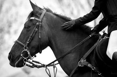 Чоловічий шкіряний ремінь Fuwok, довжина 45 см