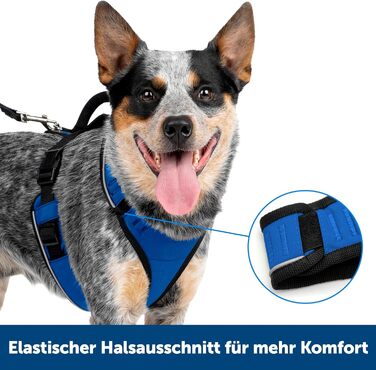 Нашийник для собак PetSafe EasySport, повністю з м'якою підкладкою, для собак 9-16,5 кг, розмір S, блакитний