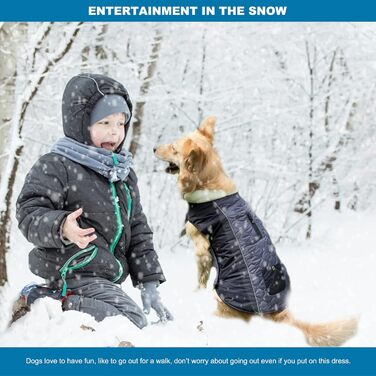 PETCUTE Водонепроникний зимовий одяг для собак, теплий зимовий одяг для собак, регульована куртка для собак з отвором для страхувального ременя, ідеально підходить для зими, сірий