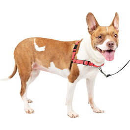 Шлея для собак PetSafe Deluxe Easy Walk, преміум якість