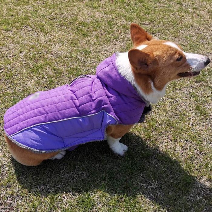 Зимова куртка для собак, теплий пуховик, костюм для собак, повсякденний одяг для тварин, тепла жилетка з капюшоном, L (53-60 см), фіолетовий