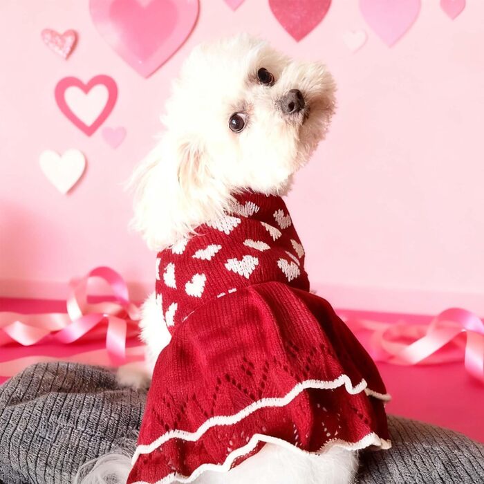 Теплий зимовий пуловер для собак маленьких порід MuYaoPet, червоний, розмір XS (для дівчаток, коргі, чихуахуа, такса)