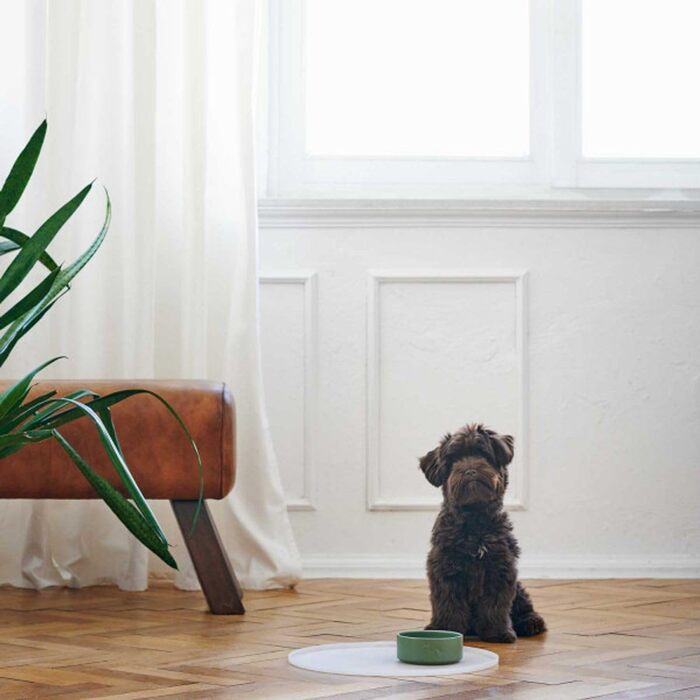 Керамічна миска HUNTER Osby, 1900 мл, хакі