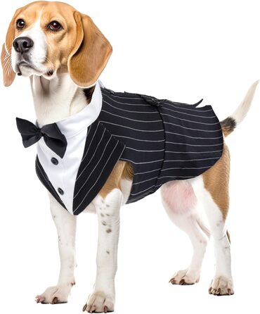 Костюм для собак 