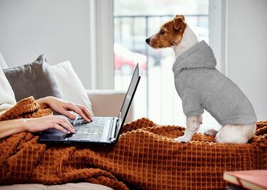 Світшот для собак, теплий та м'який, з капюшоном. Світшоти для маленьких собак (Сірий, розмір S)