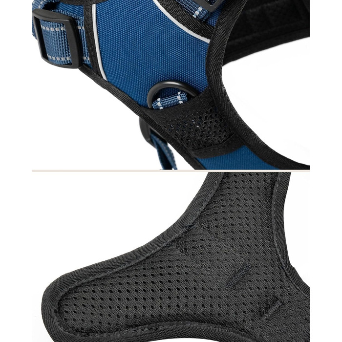 Нашийник для собак Lionto, м'який, нейлон, розмір M, анти-тяга, з 2 кільцями, 4 регульованими ремінцями, 2 застібки, гумовий ручка, блакитний