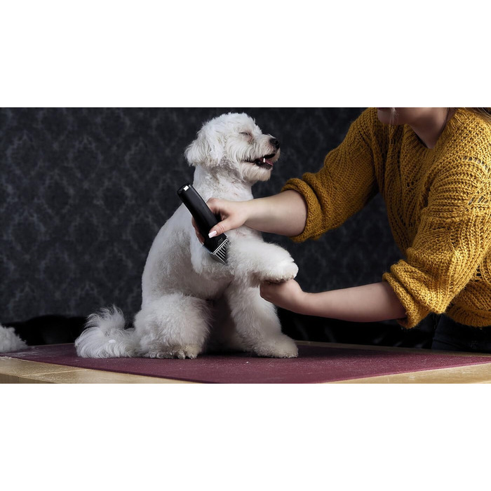 Машинка для стрижки собак Rotschopf24 Edition Arco Pro: акумуляторна, для професійного використання, з чохлом. 44204 (1 акумулятор)