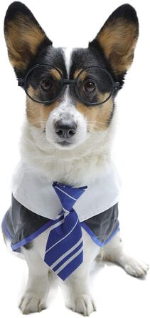 Сорочка для собак на Хелловін Impoosy, кумедний костюм кота-чаклуна, мила одяг з окулярами (розмір M, обхват шиї: 35,6 см), блакитний