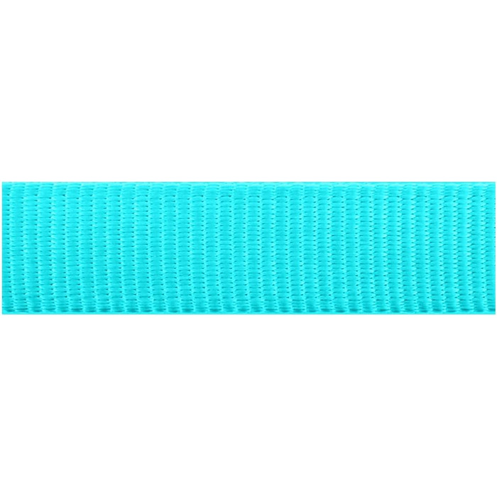 Trilus повідок для собак нейлоновий, бірюзовий, 2 м, XS