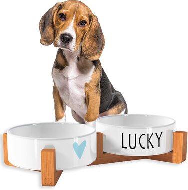 OWLBOOK Миска для собак з гравіюванням імені, подвійна миска для корму та води, кераміка, бамбук, 300 мл (синя зіркочка)
