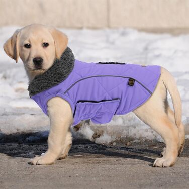 Зимовий одяг для собак EMUST: теплий флісовий одяг для холодної погоди, британський стиль, вітрозахисна куртка для маленьких собак, зимові собачі куртки, колір: Нова Ліла, розмір XS (1 шт.)