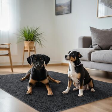 Водонепроникний килимок для собак 100x120 см - м'який, пухнастий, для собак середніх порід до 16 кг, чорно-білий, підходить для вулиці та дивану