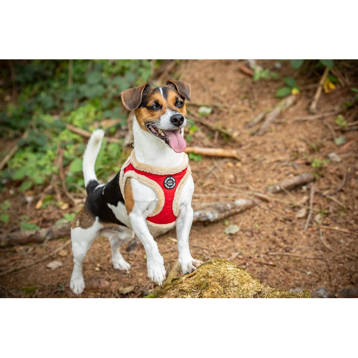 М'який нашийник для собак CHIARA MIA, розмір XL, червоний, водонепроникний, з клямками, світловідбиваючі смуги