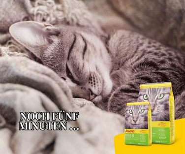 Сухий корм для котів Josera SensiCat для чутливого травлення, без смакових добавок, 10 кг (2 упаковки по 5 кг)