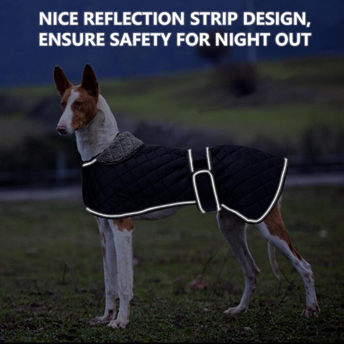 Водонепроникний зимовий одяг для породистих собак (Вінтерхаунд, Віпет, Лурчер), тепла куртка з флісовою підкладкою, для великих та середніх порід, темно-синій, розмір S (обхват спини 51-53 см)