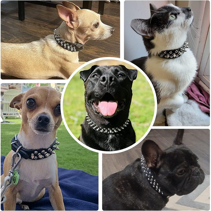 DOGGYZSTYLE нашийник для собак із шкіри з шипами, для котів, цуценят, малих і середніх тварин, чорний, розмір L