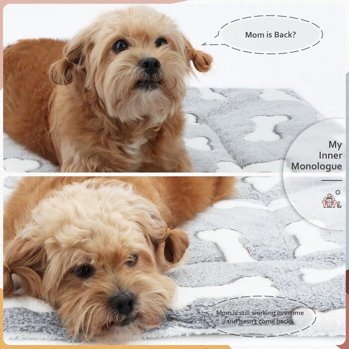 М'який килимок-матрац для собак та котів 60x80 см, м'який, дихаючий, машинне прання