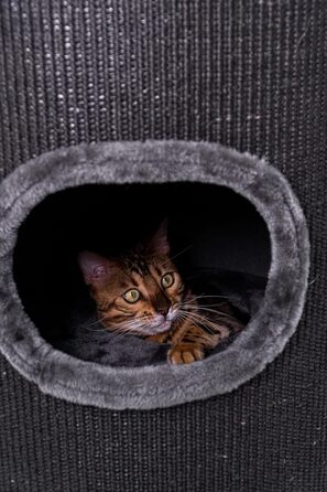 Petrebels Дряпка для котів - дряпка-домик, 110 см, чорна