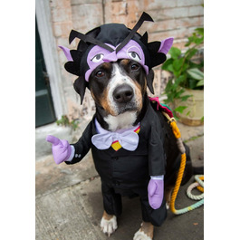 Костюм вампіра для собак Pet Krewe The Count | Сезам вулиця, костюми для собак та котів | S, M, L, XL