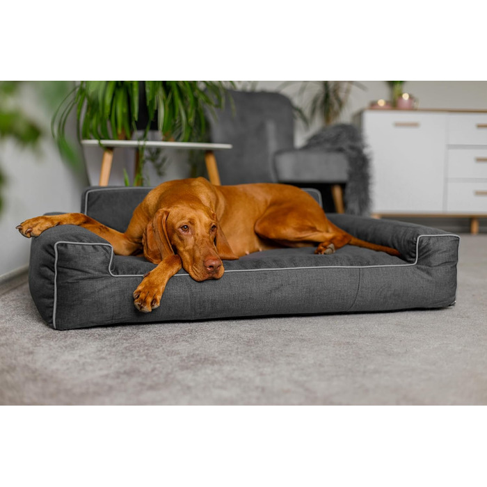Ліжко для собак - кошик для собак маленьких, середніх та великих порід - подушка для собак - диванчик для собак - знімний та пральний чохол - Glamour New - розмір L: 98 x 66 см (XL - 116 x 78 см, Графіт Fancy)