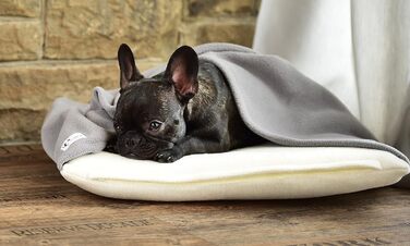 М'яке собаче ліжко з підстілкою кремового та сірого кольорів 110 x 100 см - затишок та спокій для собак завдяки м'якому ліжечку та підстилці для дому та подорожей