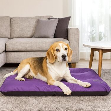 Килимок для собак ECO: великий, середній, малий - вологостійкий, м'який, 90x60x8 см (фіолетовий)