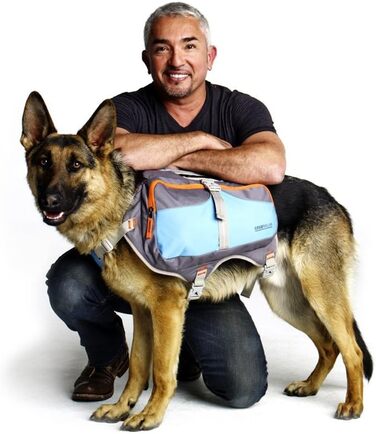 Рюкзак для тварин Cesar Millan Blue & Grey