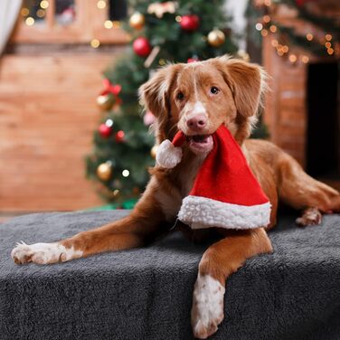 М'який флісовий килимок для собак та котів Nobleza, 160 x 120 см, сірий (XL)