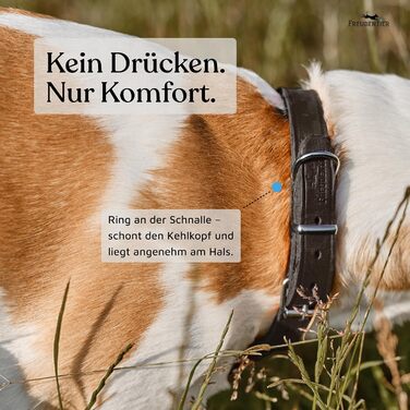 Шкіряний нашийник для собак Freudentier Alsterufer - ручної роботи, з сертифікованої шкіри, для малих, середніх та великих собак (Midnight, 29-40,5 см)