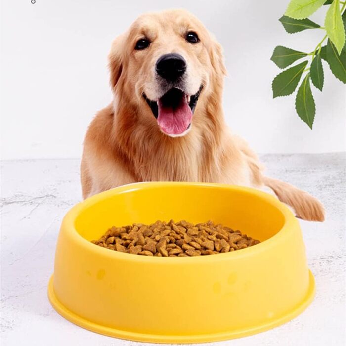 Набір мисок для котів (4 шт.) з пластику, для котів та дрібних тварин