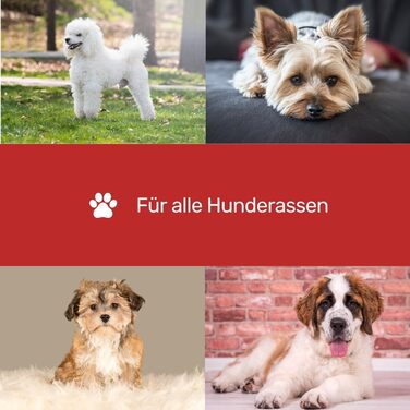 Преміум ножиці для грумінгу собак EHASO, 13 см, легкі, вигнуті | Японські ножиці для грумінгу, професійні