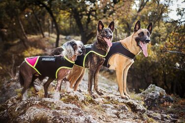 Одяг для собак Julius-K9 IDC неопреноий, розмір XS, чорний/жовтий