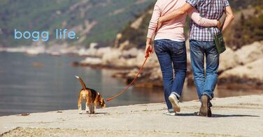 BOGG Універсальна сумка на плече для собак | Диспенсер для пакетів та контейнер для відходів (Сірий)