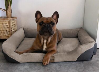 Корзина для собак Normani з підстилкою - лежанка для тварин, 60x80 см, бежева