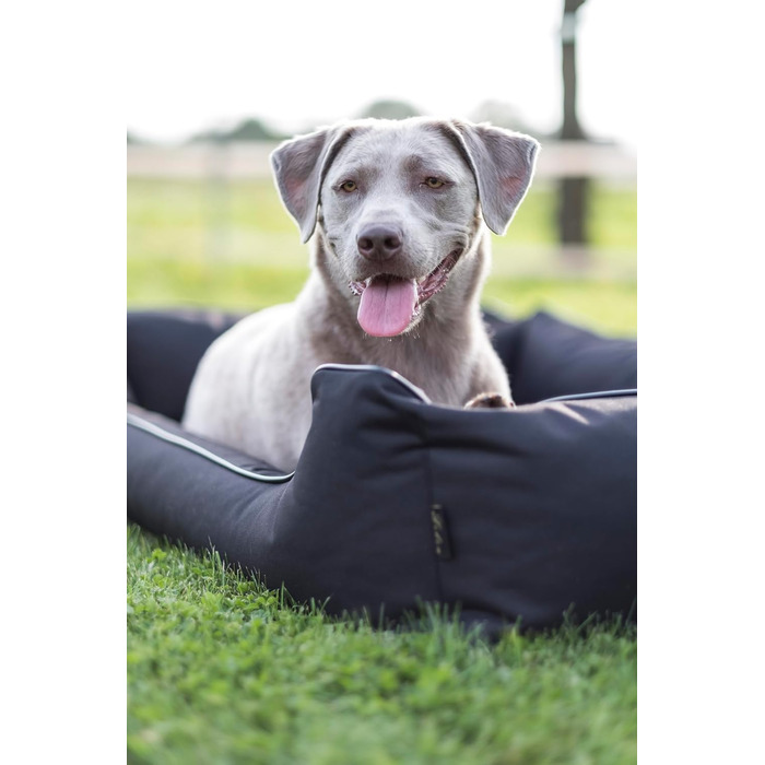 Ортопедичне ліжко для собак Ebon Paua Pus | 4 кольори | 4 розміри | З антиковзаючим покриттям | Водовідштовхувальне (L, Чорний)